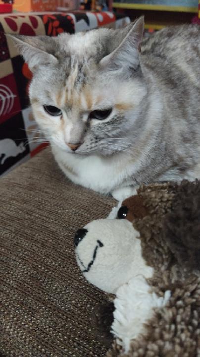 Daniel Riera Pascual