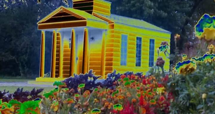 Eccentric Revolutionaries