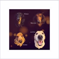 May-Britt Ånesestad