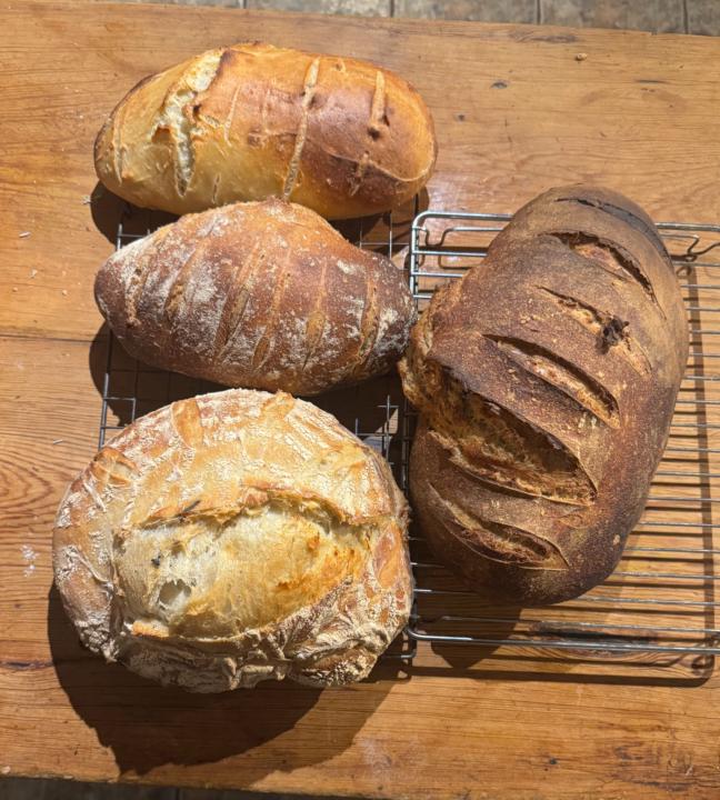 Side Hustles What are yours?