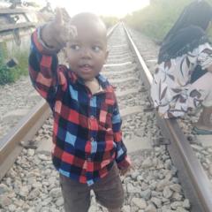 Shafii Amiri