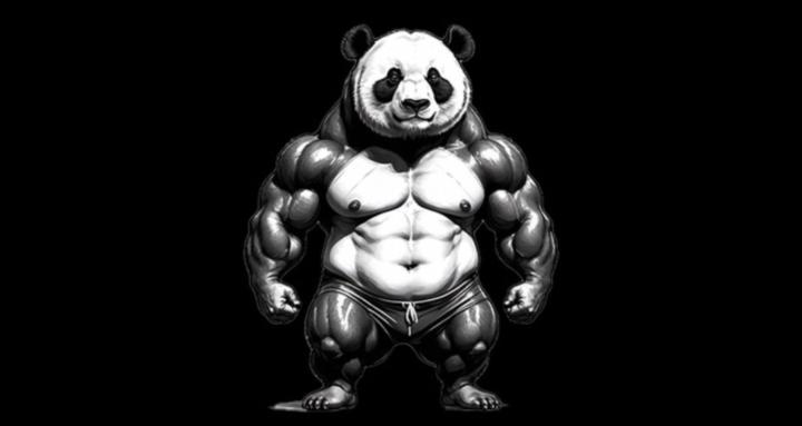 PandaFit