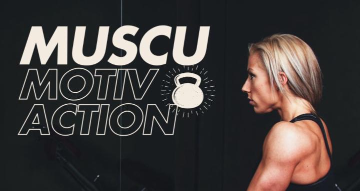 Institut de musculation