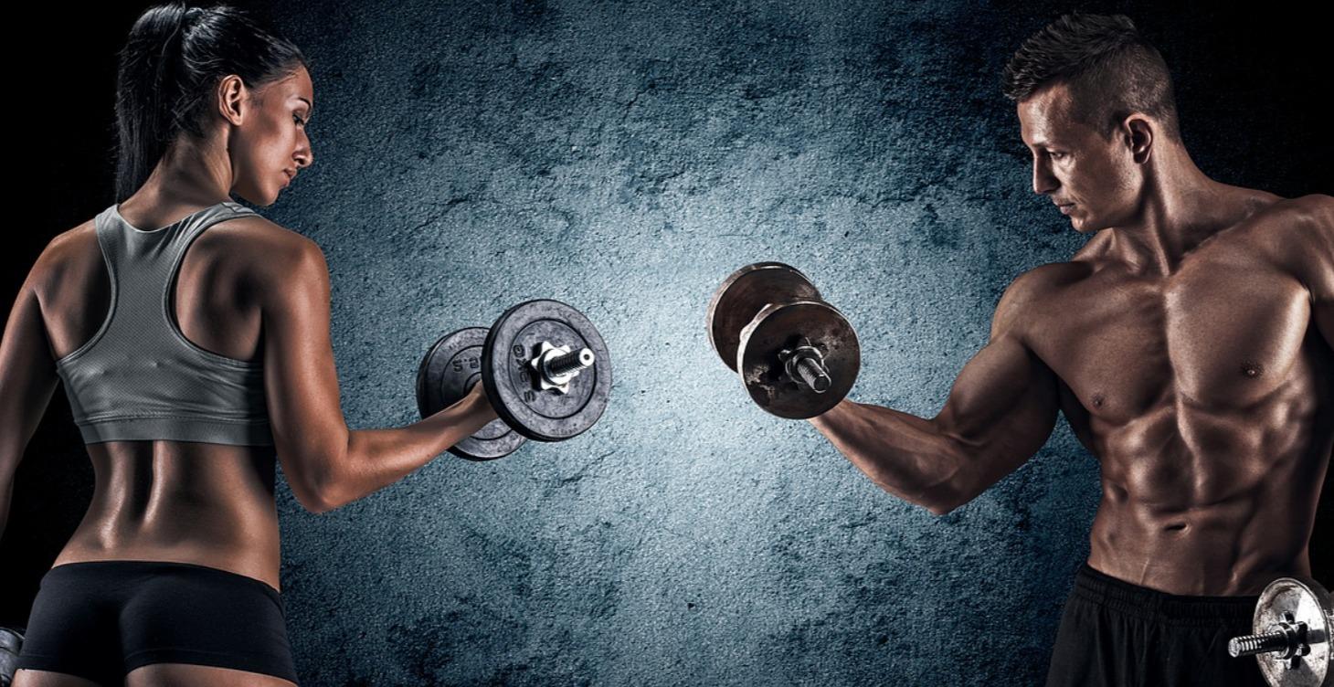 Introduction musculation