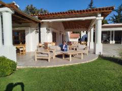 Lilia Contreras solis