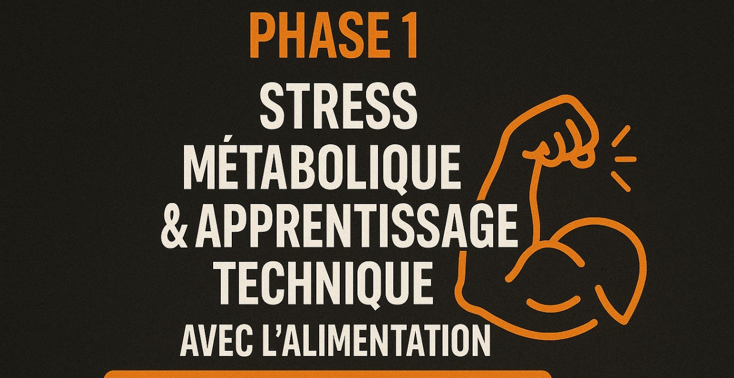 Phase 1 - Alimentation et Entrainement