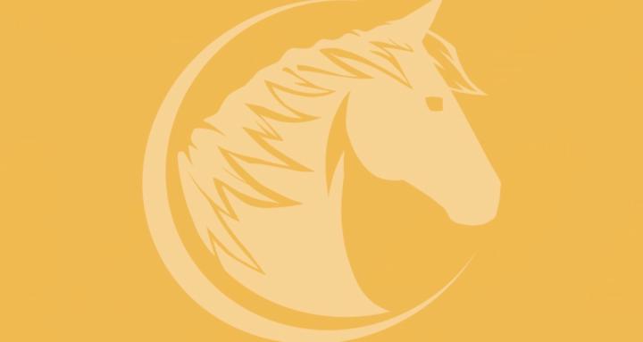 Force Free Foundations