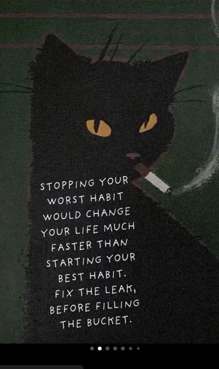 Quality Quotes