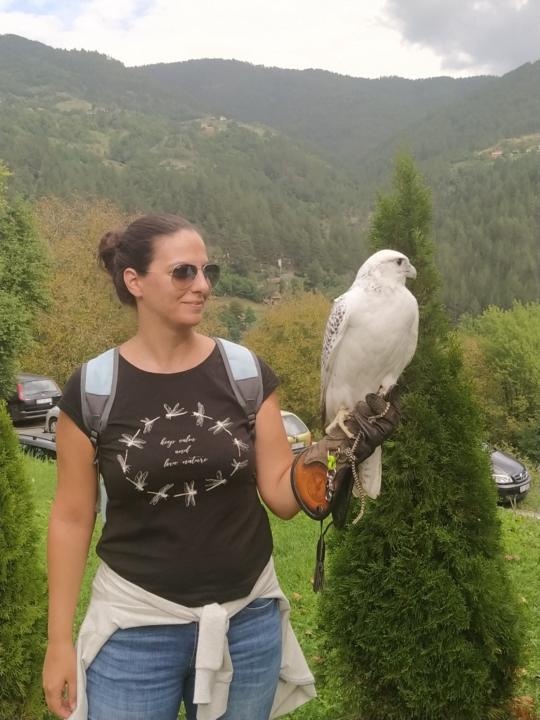 Irena Ilić