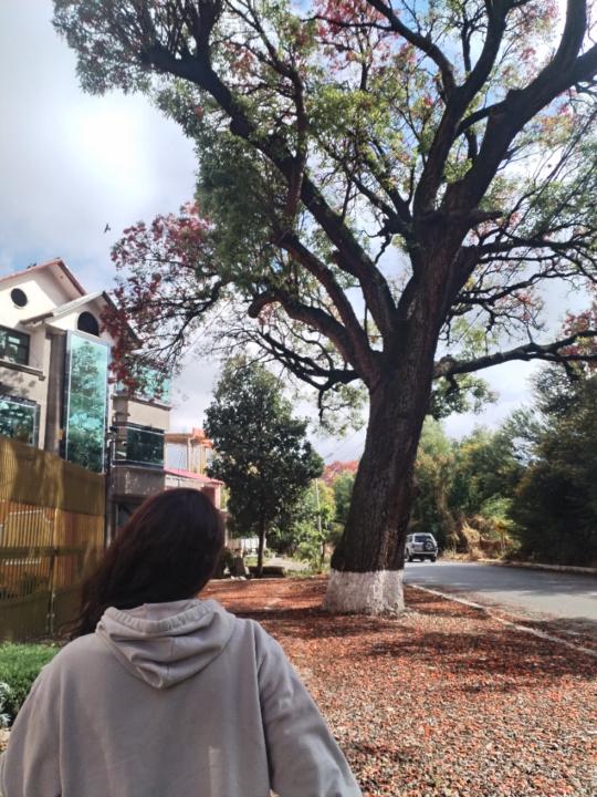 Milenna Giovana Muga Ajnota