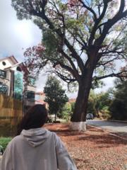 Milenna Giovana Muga Ajnota