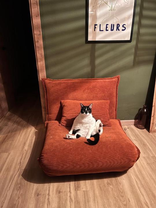 Vando Miguel Seabra de Oliveira