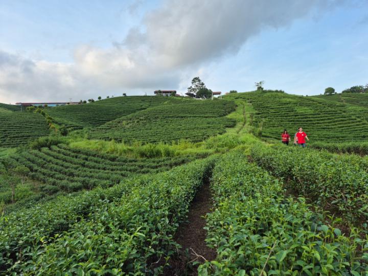 Nguyễn Tiền Tiến