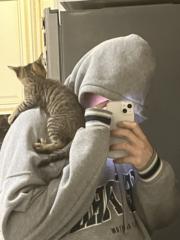 Стас Aoinoiwhatquestions