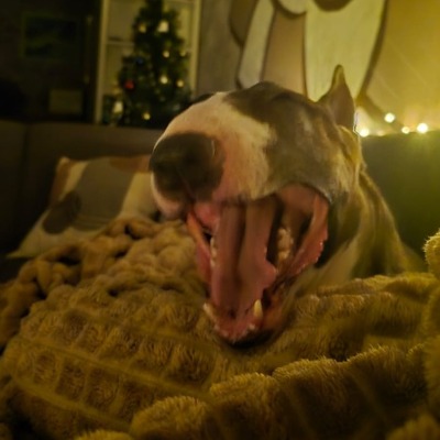 Жени Иванова