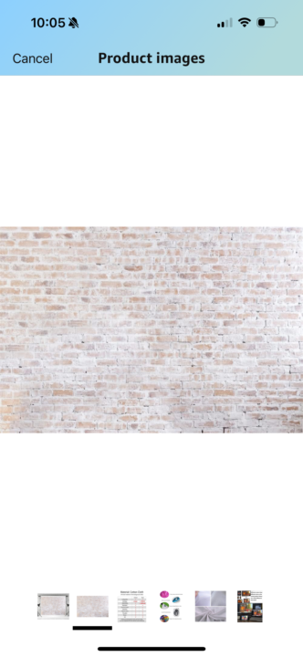 White backdrop options 