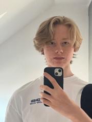 Hannes L