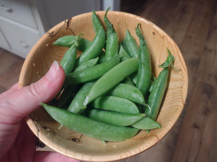 Springtime Snacks