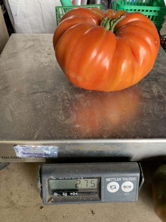 Nice to meet you all! 