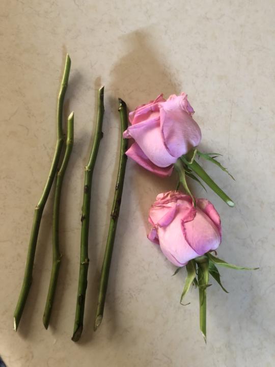 My first post here😃