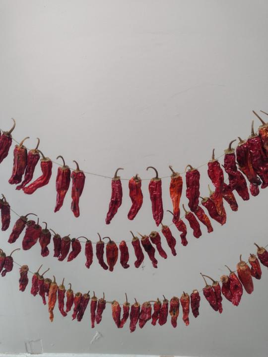 Pepper Garland