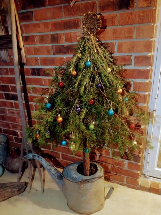 Happiest of Holidays!