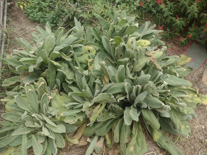 Getting ready for cold season! 