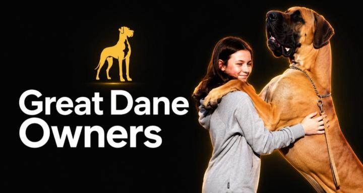 Great Dane Owners Club