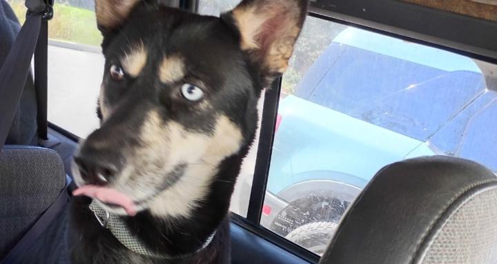 Becky'sbKitchenWytchery