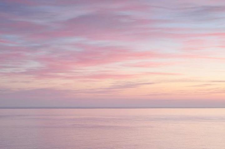 Maggie Rees