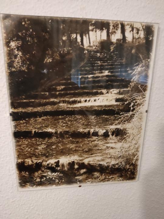 Sonia De l Iglesia Moreno