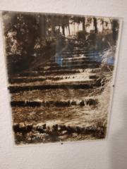 Sonia De l Iglesia Moreno