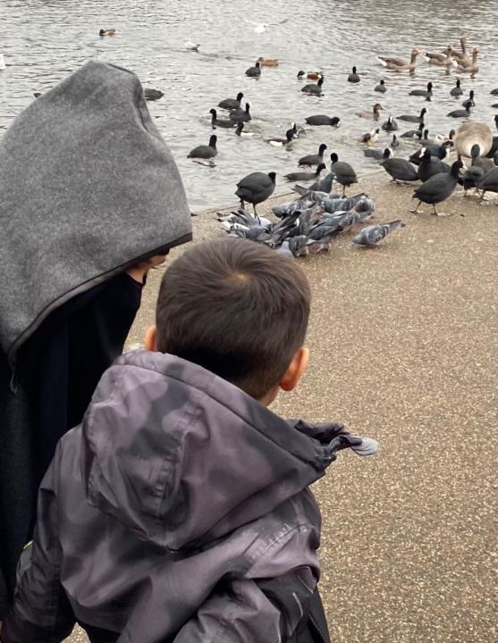 Rubia Sultana-Kabiri