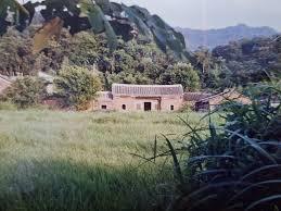 建松 鄭