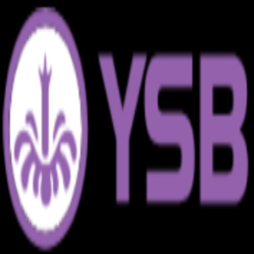Ysb Xncom