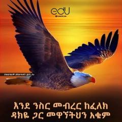 Zde Eshetu