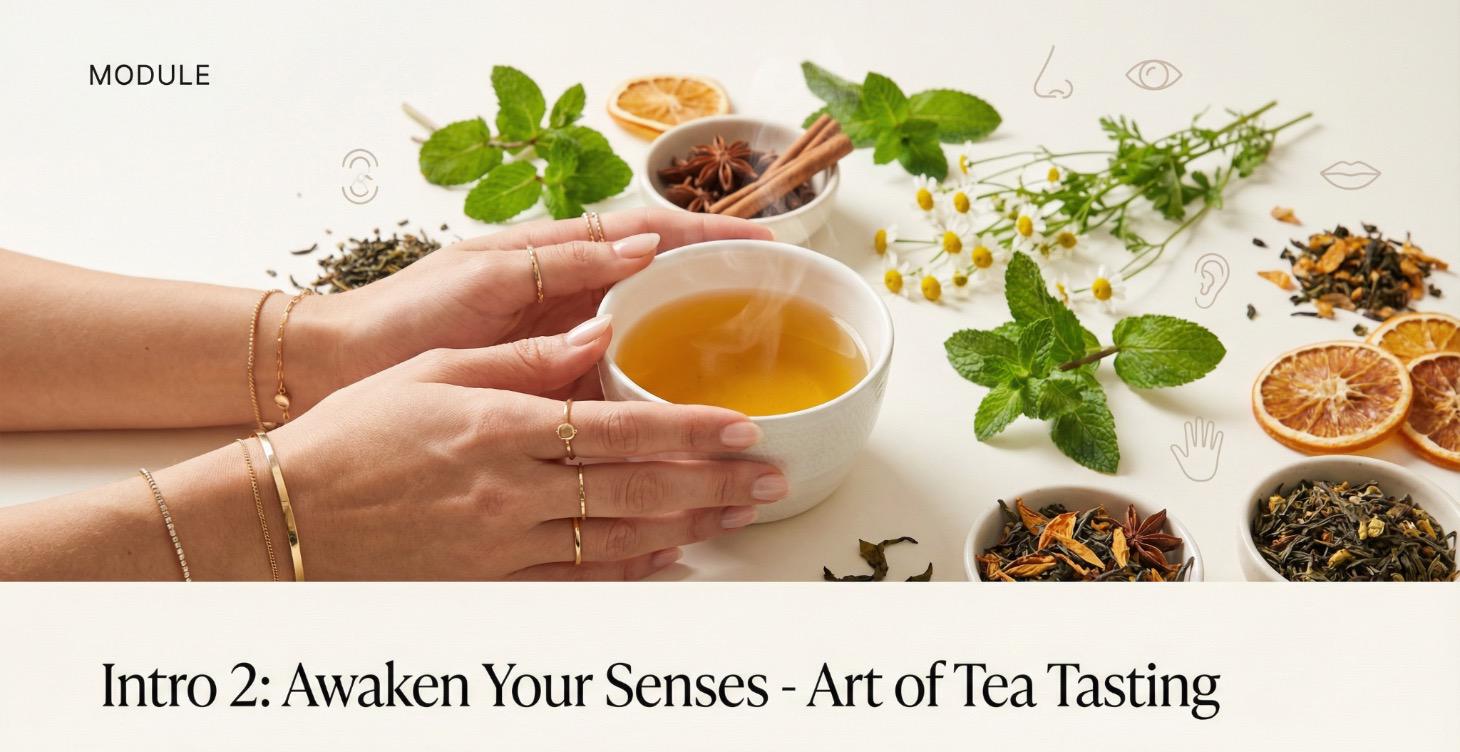 Awaken Your Senses. Art of tea tasting
