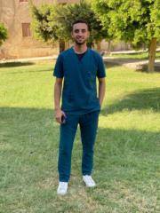 علاء سامى