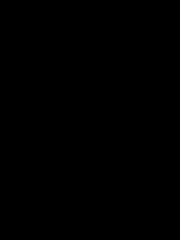 Ayat Lamia
