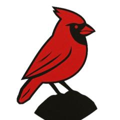 Steadfast Strategies