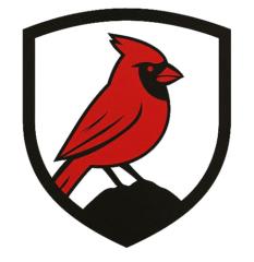 Steadfast Strategies