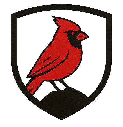 Steadfast Strategies