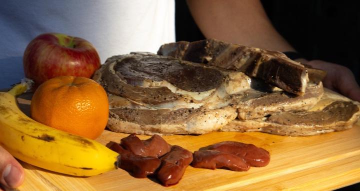 The Caveman Diet Protocol