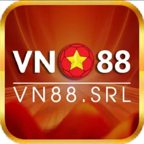 Vn Srl