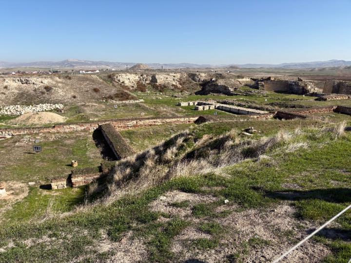 Vladimir Milovanovic