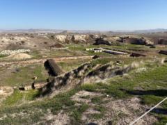 Vladimir Milovanovic