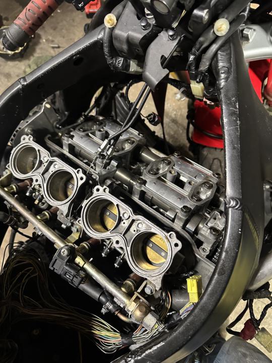 2006/07 CBR 1000 tick/tap diagnostic.