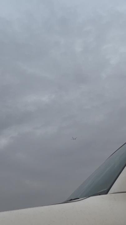 Wafa ALShammari