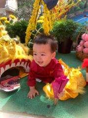 Mai Trúc Quân Trần