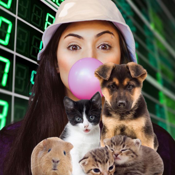 Dotcom Blase? Die glorreichen Höhen und der tiefe Fall – Die Geschichte von Pets.com